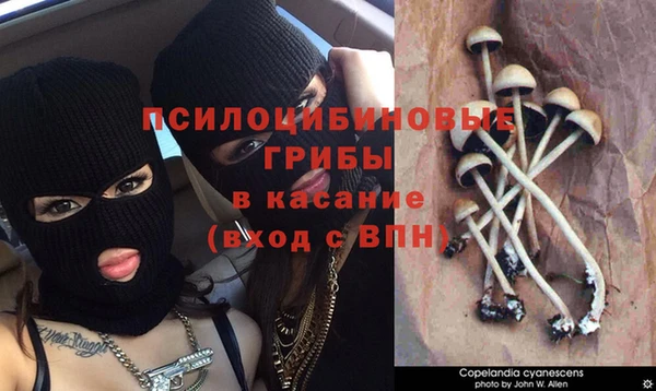 Альфа ПВП Ступино