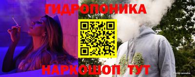 скорость Аргун