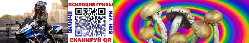 Псилоцибиновые грибы GOLDEN TEACHER  Белая Калитва 