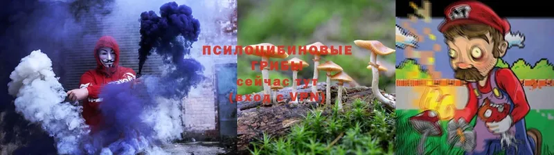 Галлюциногенные грибы Psilocybine cubensis Белая Калитва