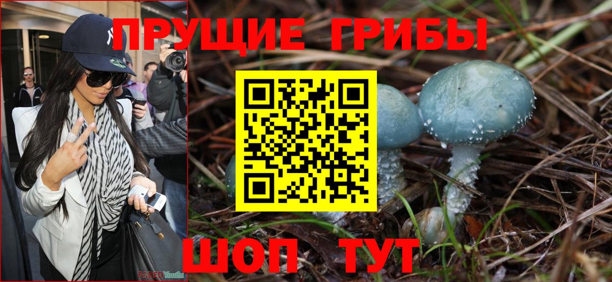 Галлюциногенные грибы ЛСД Белая Калитва
